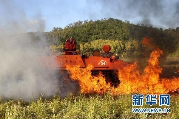 【動(dòng)畫】森林草原防火“十不準(zhǔn)”“五不燒”！這些安全知識(shí)要牢記